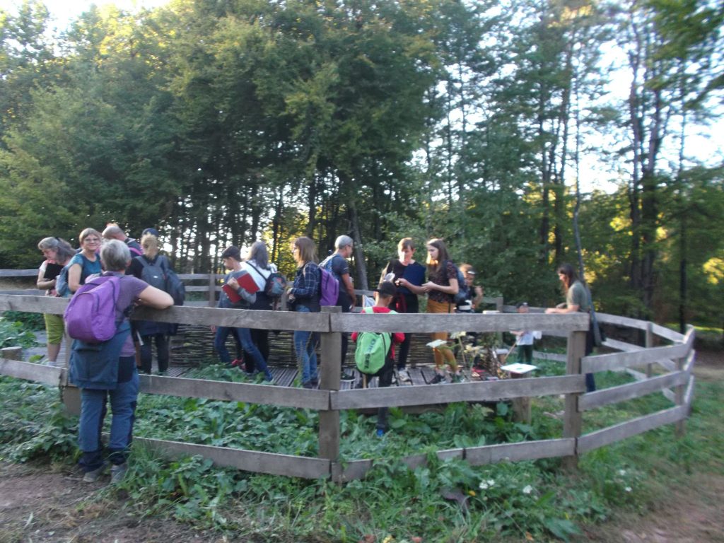 Photo article Balade Nocturne à Bouzey